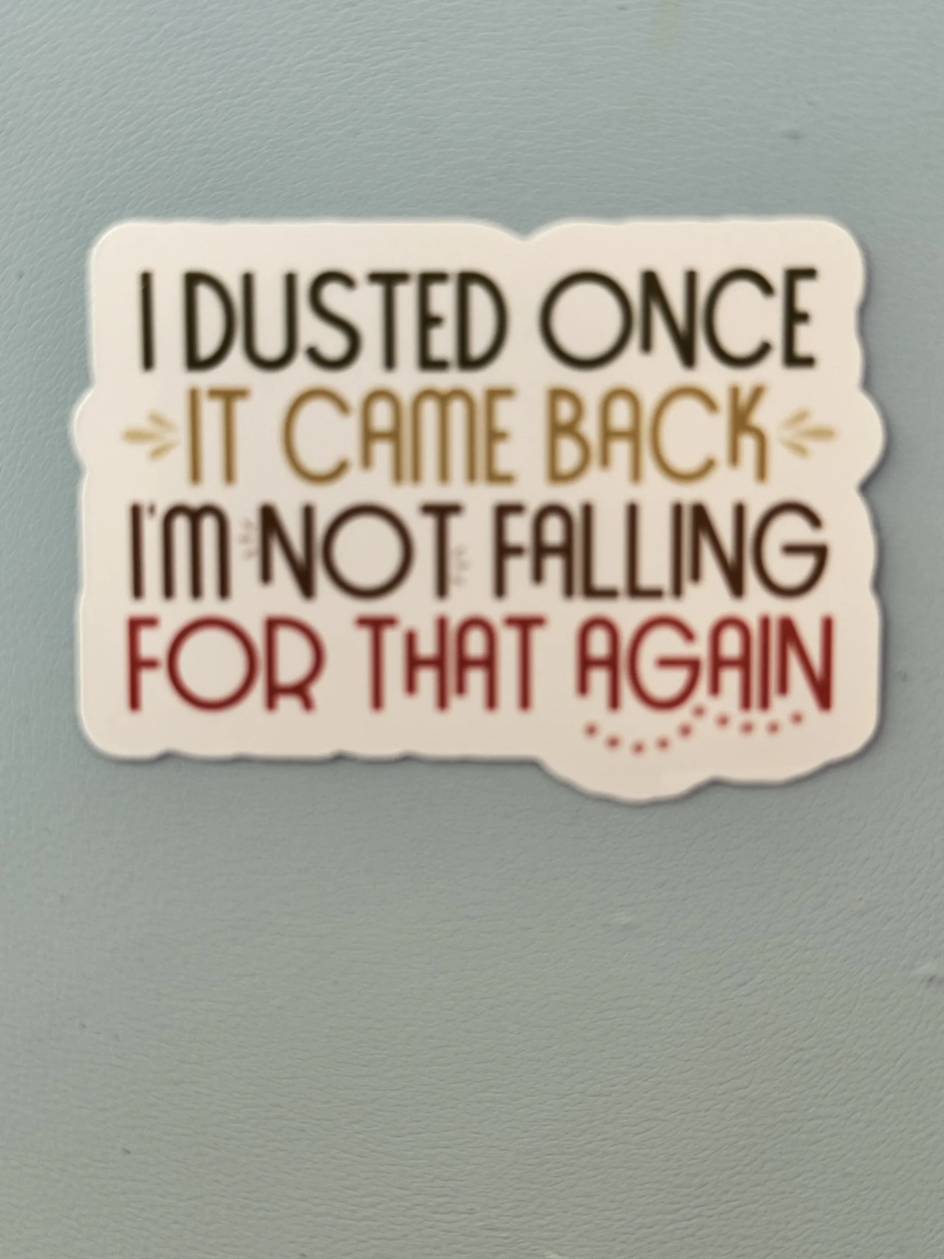 I dusted once...