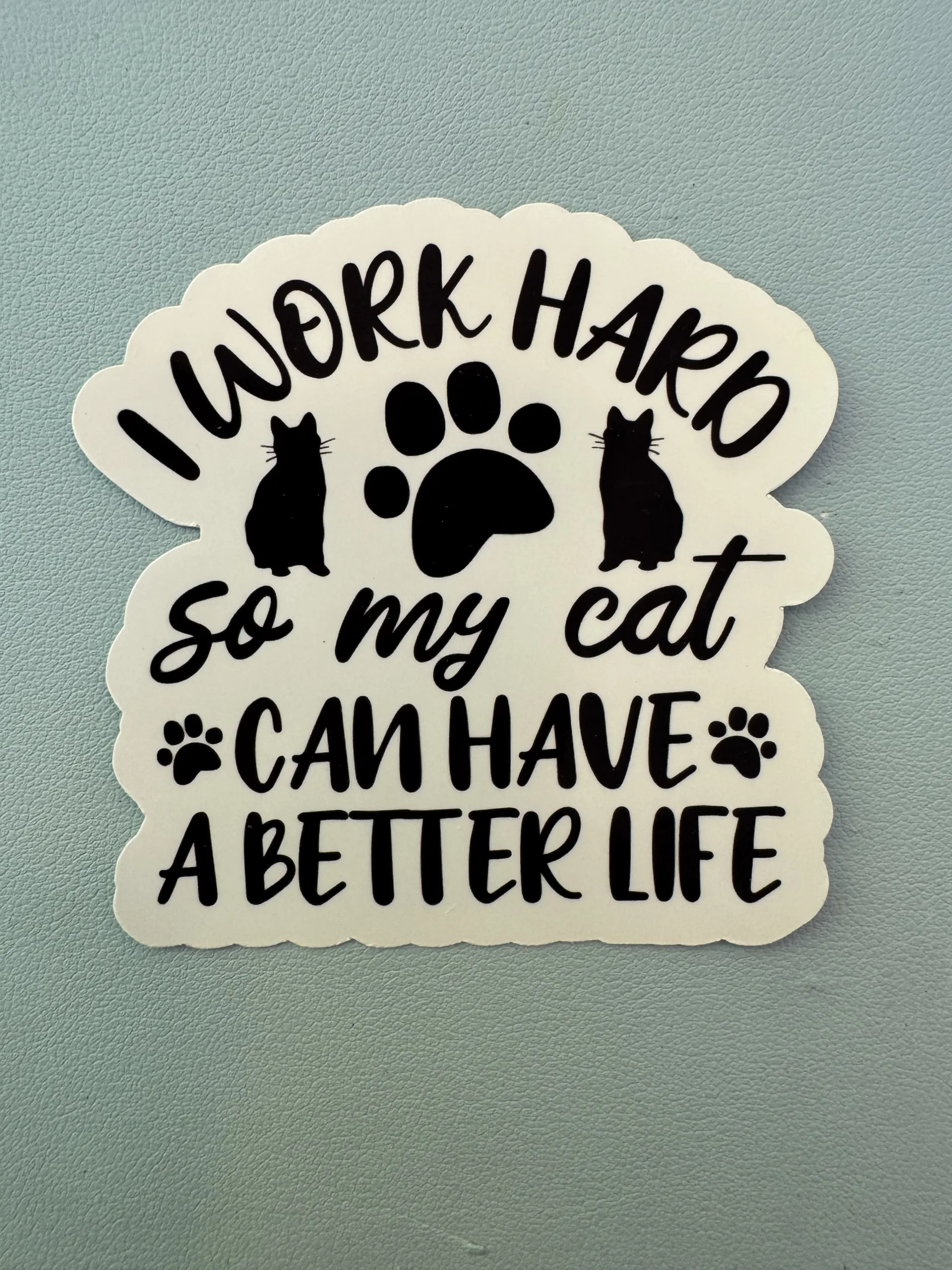 I work hard so my cat can have a better life!