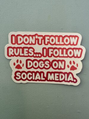 IMG_8105 I don't follow rules... I follow dogs on social media