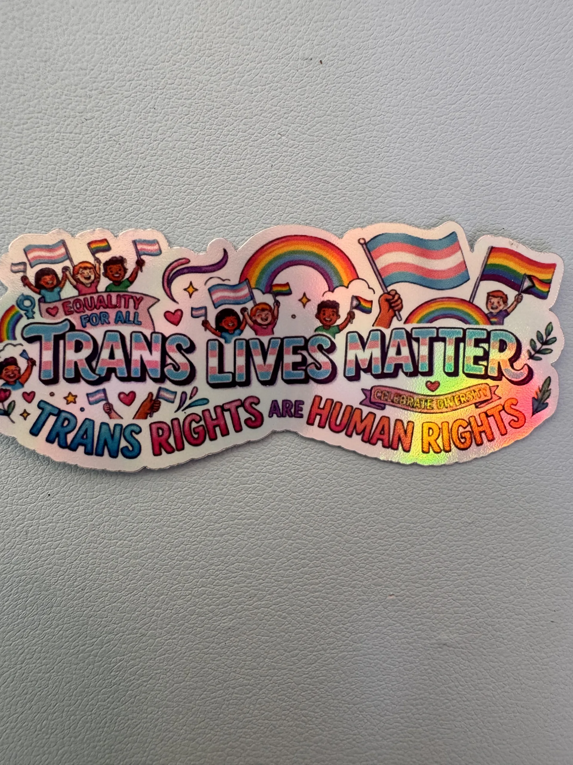 Trans Lives Matter! Trans Rights are HUMAN RIGHTS!